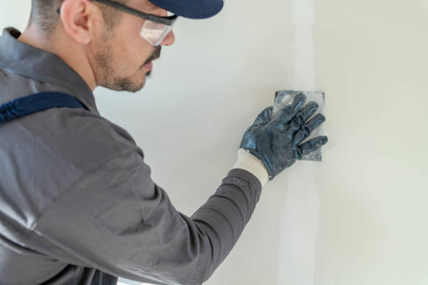 Professional Drywall & Painting Services in Pantops, VA